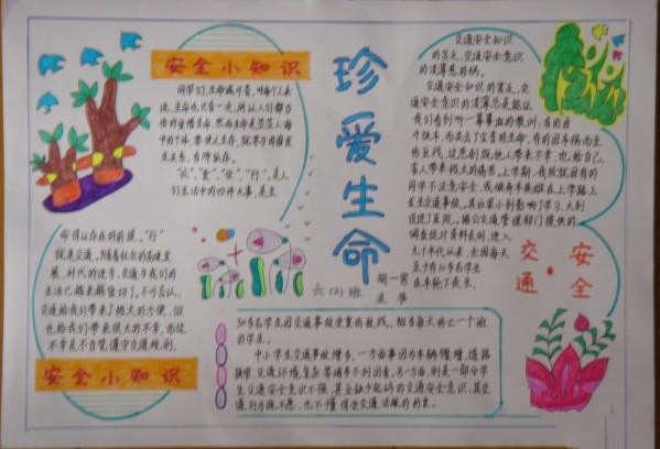 珍愛生命，交通規(guī)則手抄報(bào)