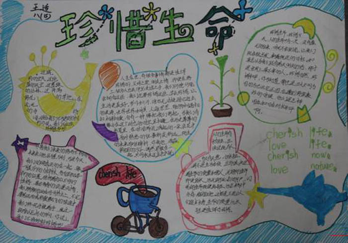 安全伴我行手抄報(bào)，珍惜生命