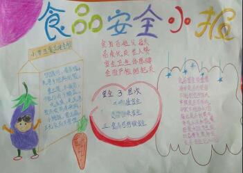 食品安全手抄報(bào)簡(jiǎn)單又好看，食品安全需重視