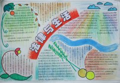 安全教育法制教育手抄報，安全第一保護自己手抄報