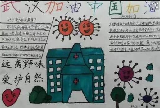 遠(yuǎn)離野味愛護(hù)自然手抄報(bào)