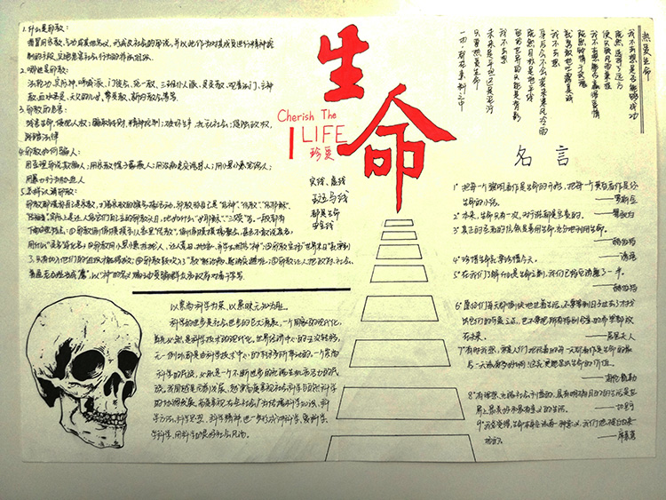 簡(jiǎn)單又好看的反邪教手抄報(bào)圖片
