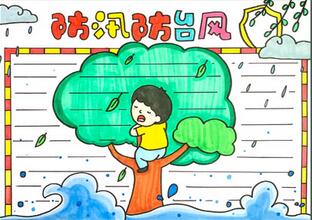 防汛防臺風手抄報教程