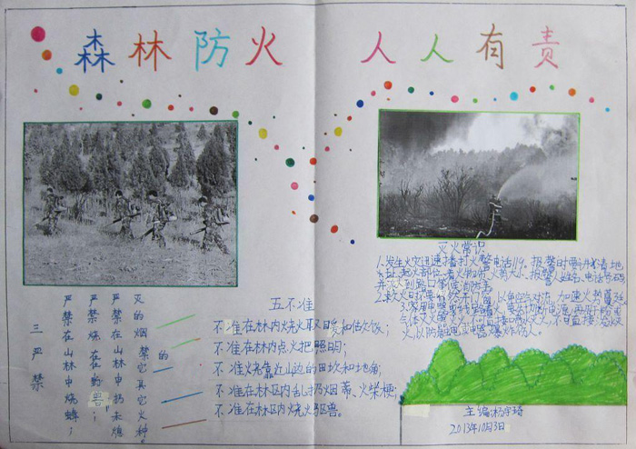 漂亮的森林防火手抄報圖片，森林防火人人有責(zé)