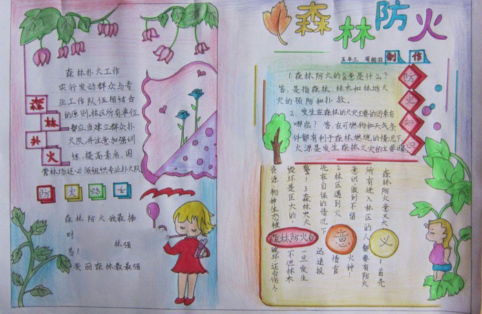 森林防火手抄報圖片，森林防火知識