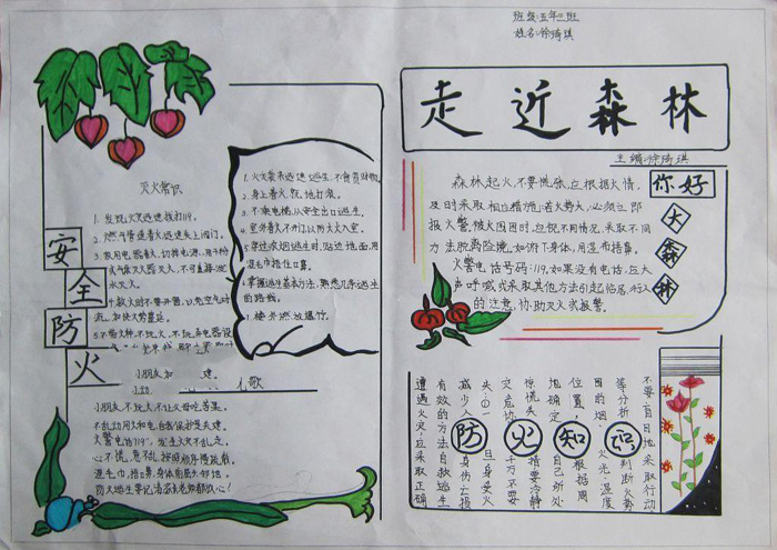 漂亮的森林防火手抄報圖片，走近森林