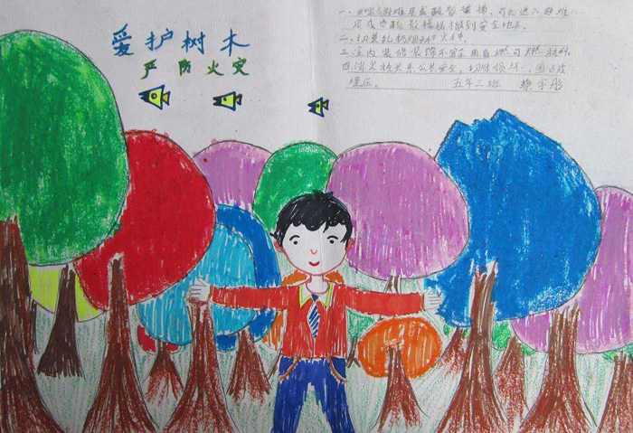 小學(xué)生森林防火手抄報圖片，愛護樹木嚴防火災(zāi)