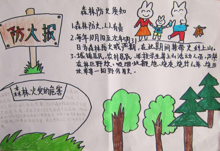 簡單的森林防火手抄報圖片，森林防火須知
