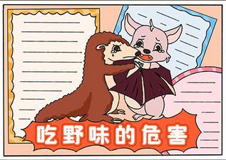 吃野味的危害手抄報(bào)