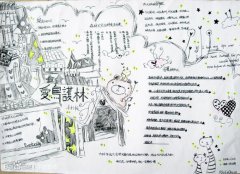愛(ài)鳥(niǎo)護(hù)林手抄報(bào)