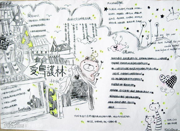 愛鳥護(hù)林<a href=http://www.inspiredelm.com/shouchaobao/ target=_blank class=infotextkey>手抄報(bào)</a>