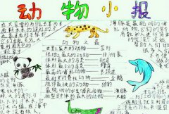 保護(hù)動(dòng)物手抄報(bào)，愛(ài)護(hù)動(dòng)物從你我做起