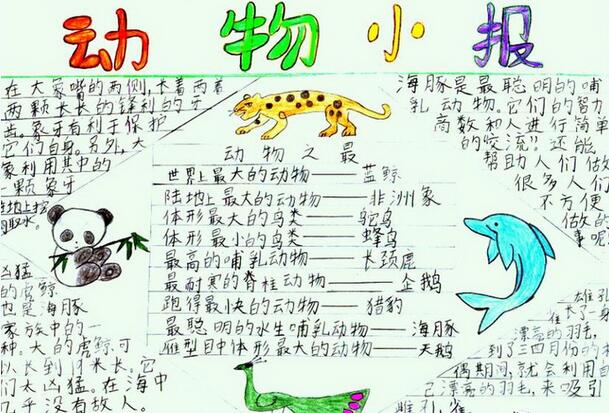 保護(hù)動物<a href=http://www.inspiredelm.com/shouchaobao/ target=_blank class=infotextkey>手抄報</a>，愛護(hù)動物從你我做起