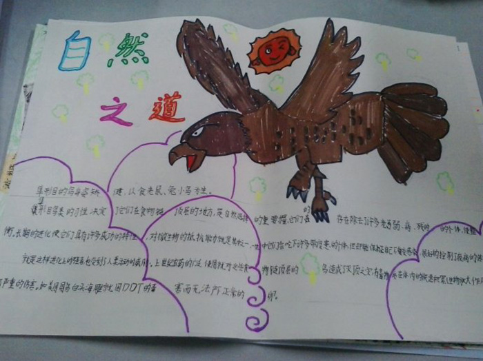 大自然手抄報(bào)，自然之道