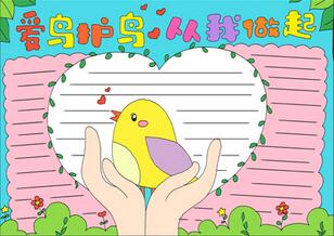 愛(ài)鳥(niǎo)護(hù)鳥(niǎo)從我做起手抄報(bào)