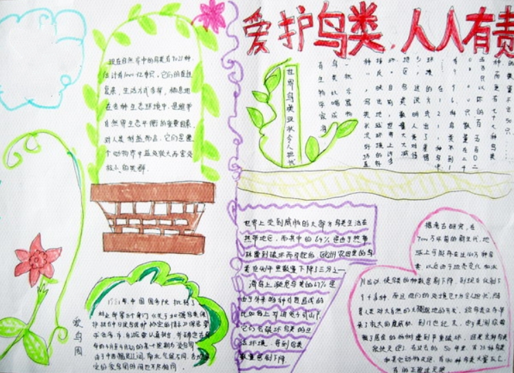 人與動(dòng)物的手抄報(bào)，和諧共處大自然