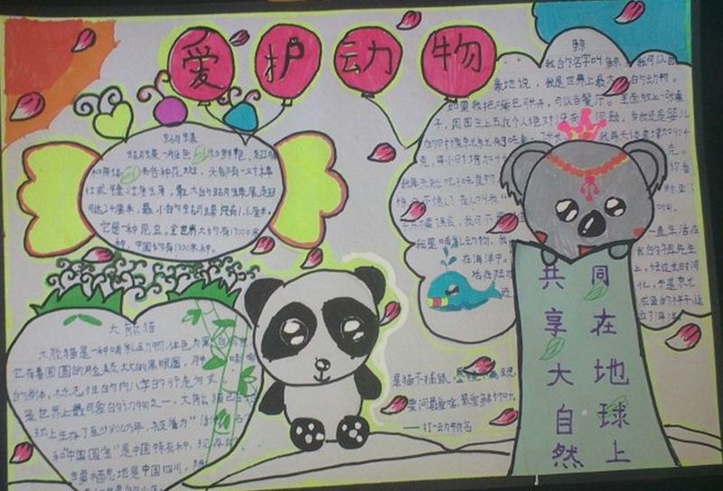 人與動(dòng)物的手抄報(bào)，共享大自然