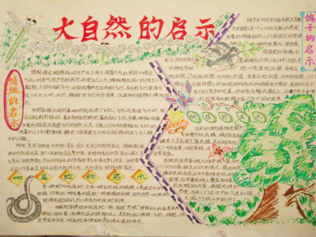 關(guān)于大自然的手抄報，大自然的啟示