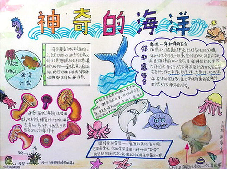 走進(jìn)大自然手抄報(bào)，神奇的海洋