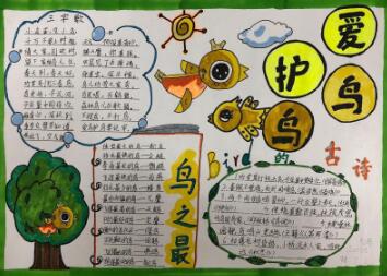 保護(hù)動(dòng)物手抄報(bào)圖片，愛鳥護(hù)鳥