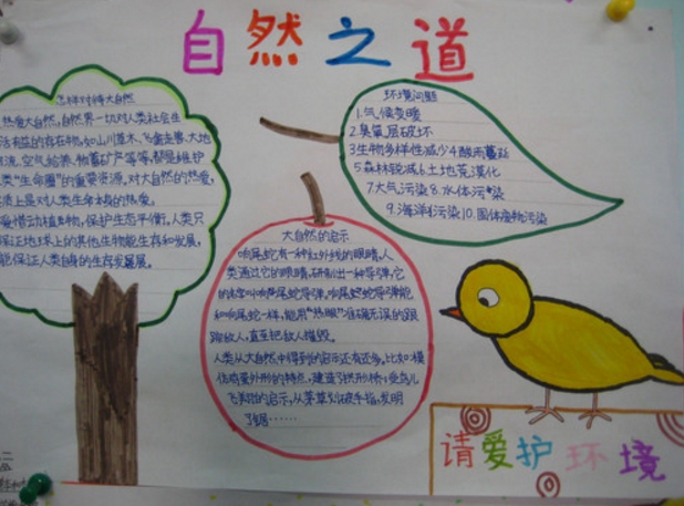 人與動(dòng)物的手抄報(bào)，自然之道