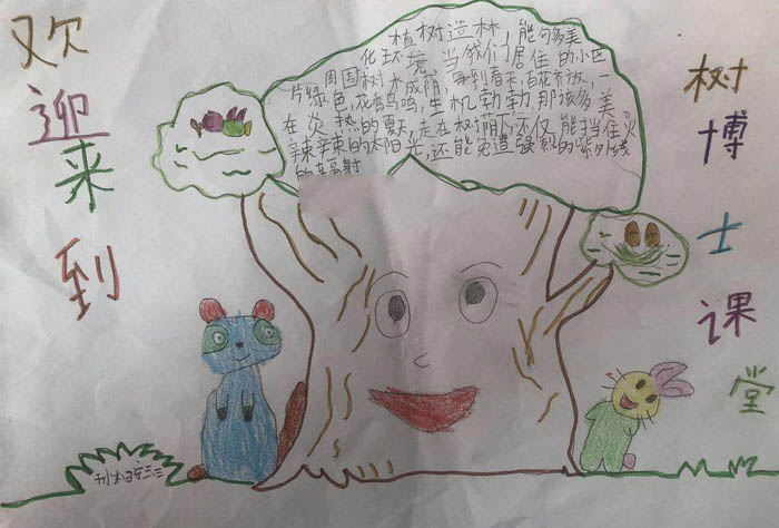 保護環(huán)境手抄報圖片，樹博士課堂