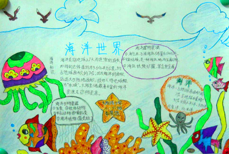 關(guān)于大自然的手抄報，海洋世界