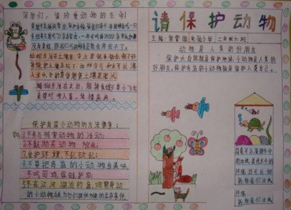 人與動(dòng)物的手抄報(bào)，請(qǐng)保護(hù)動(dòng)物
