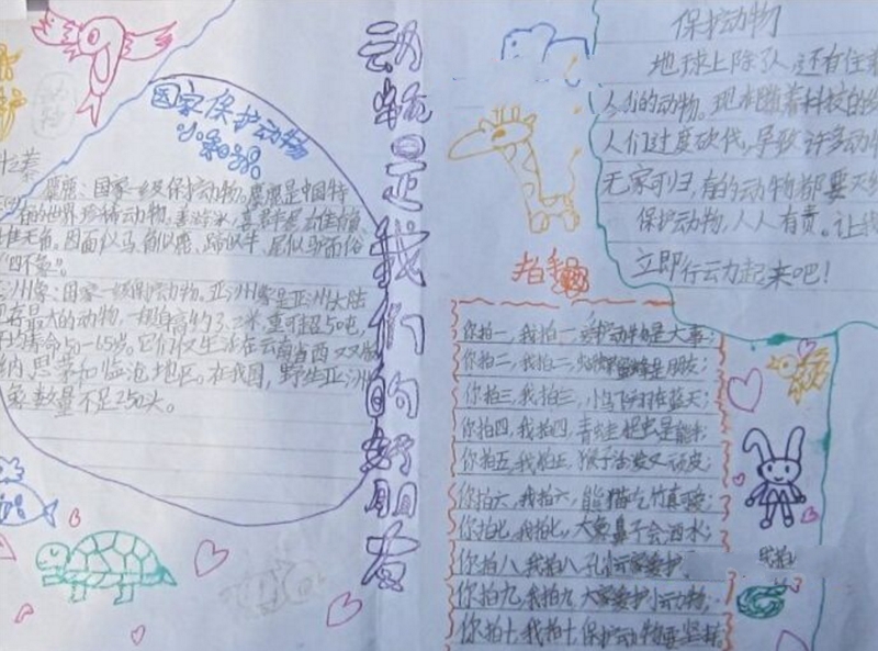 人與動(dòng)物的手抄報(bào)，愛(ài)護(hù)動(dòng)物