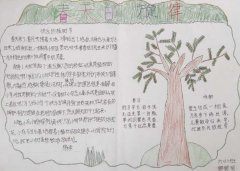 春天的旋律手抄報(bào)