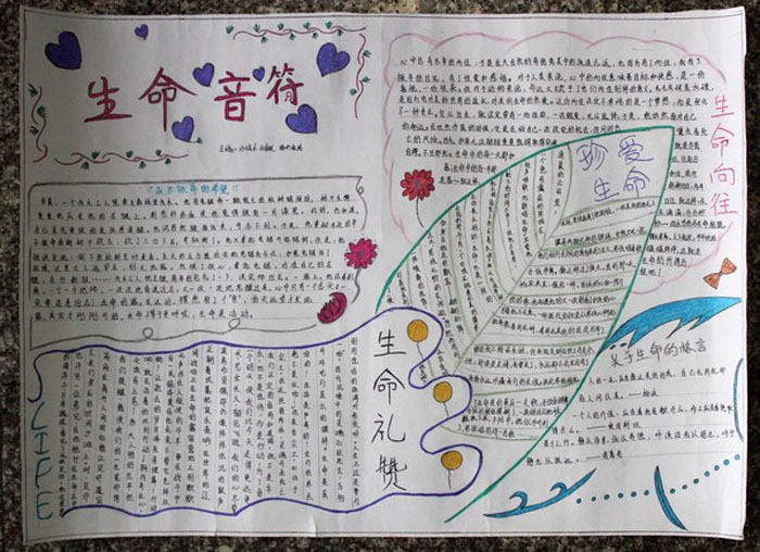 珍愛生命健康成長手抄報(bào)，生命音符