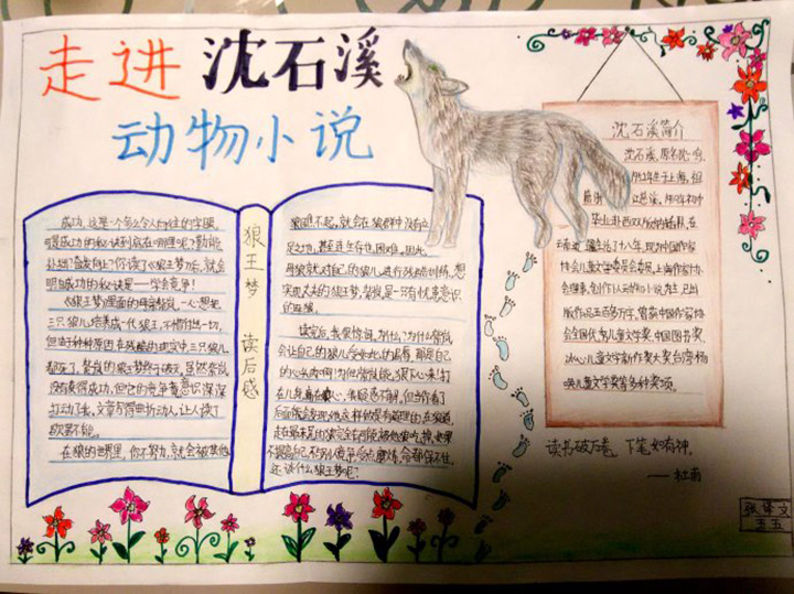 書香陽光成長手抄報圖片，走進沈石溪