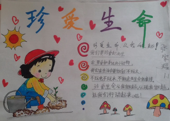 小學(xué)生珍愛生命的手抄報(bào)，珍愛生命從我做起