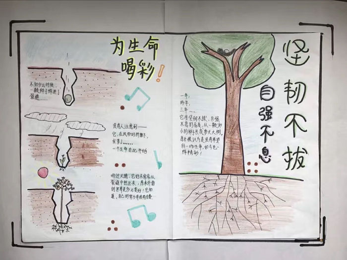 珍愛生命手抄報(bào)圖片，為生命喝彩