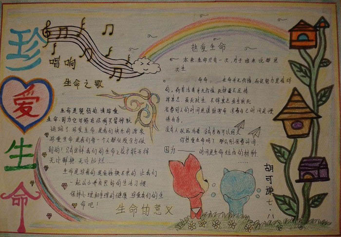 珍惜生命手抄報(bào)大全，唱響生命之歌