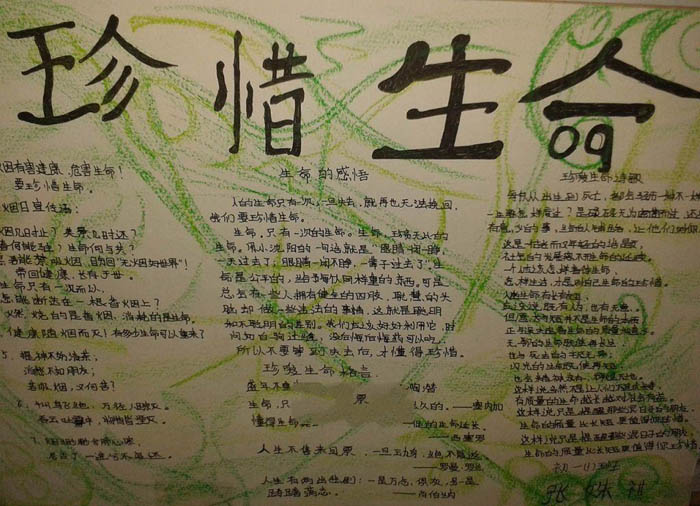 珍惜生命手抄報(bào)大全，生命的感悟