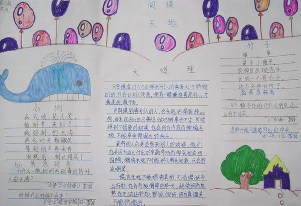 陽光成長手抄報，書香天地