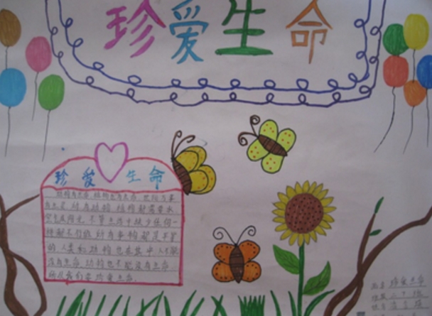 生命是盛開的花朵，珍愛生命手抄報(bào)
