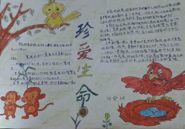 珍惜生命手抄報大全，生命可貴