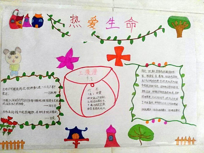 珍惜生命手抄報(bào)大全，生命只有一次
