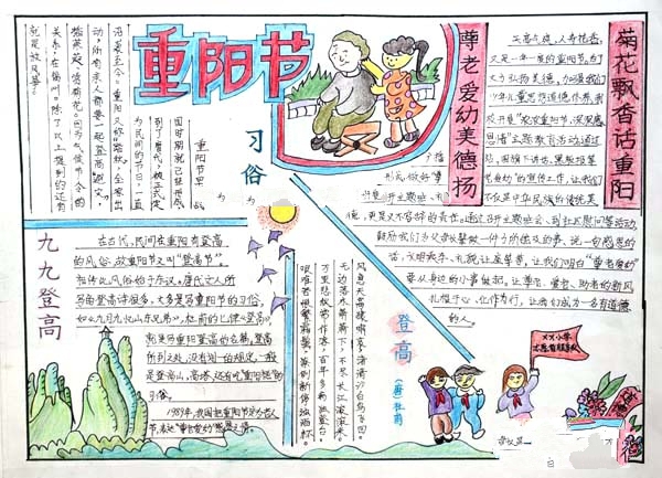 重陽(yáng)節(jié)習(xí)俗手抄報(bào)，菊花飄香話重陽(yáng)
