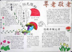 重陽(yáng)節(jié)手抄報(bào)大全