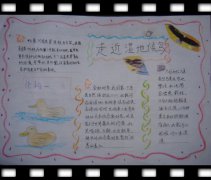 保護濕地手抄報資料