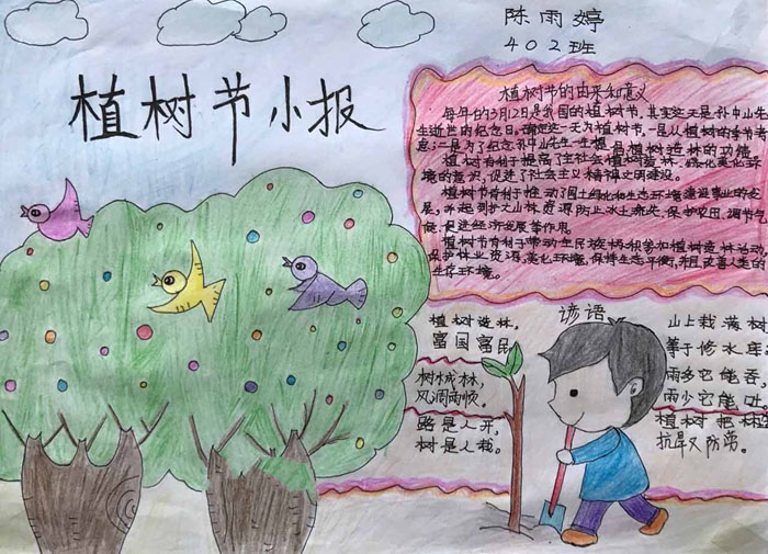 漂亮的植樹節(jié)手抄報圖片，植樹節(jié)小報