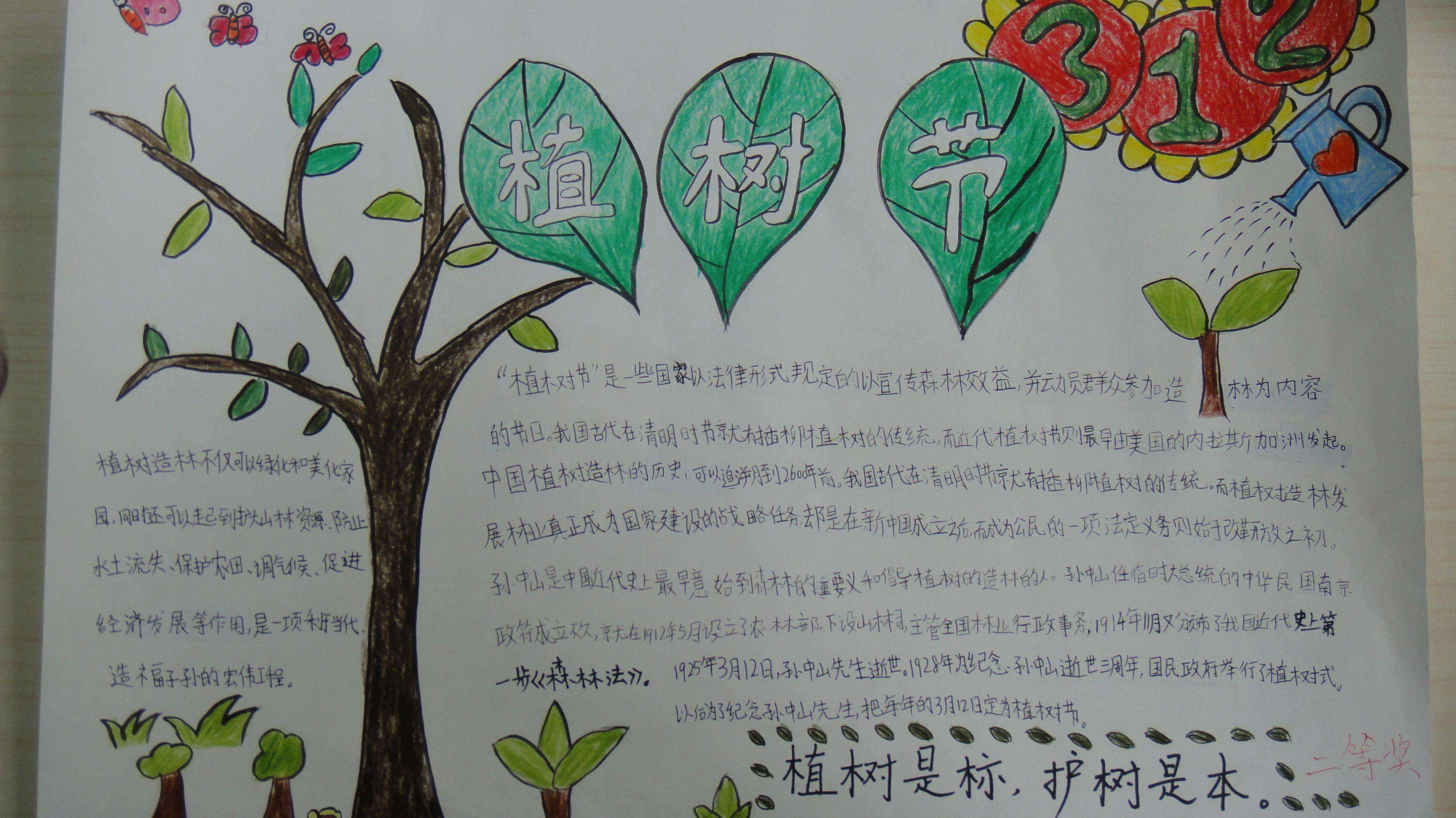 一年級愛綠護綠植樹節(jié)手抄報