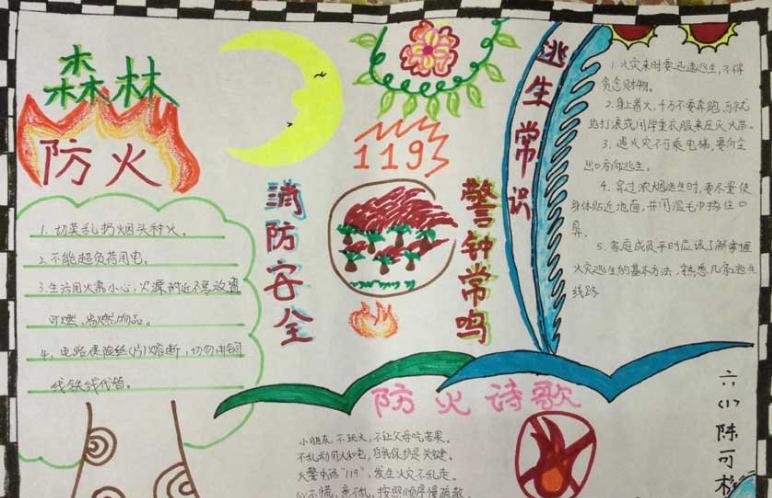 2017年森林日<a href=http://www.inspiredelm.com/shouchaobao/ target=_blank class=infotextkey>手抄報(bào)</a>,保護(hù)森林愛護(hù)環(huán)境