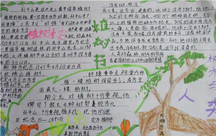 小學(xué)生植樹節(jié)手抄報內(nèi)容圖片，植樹節(jié)的來歷