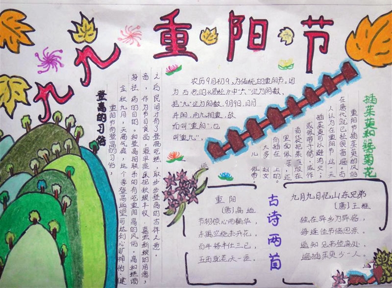 九九重陽節(jié)手抄報圖片，插茱萸和簪菊花的習(xí)俗