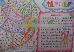 植樹節(jié)手抄報，種下一片綠
