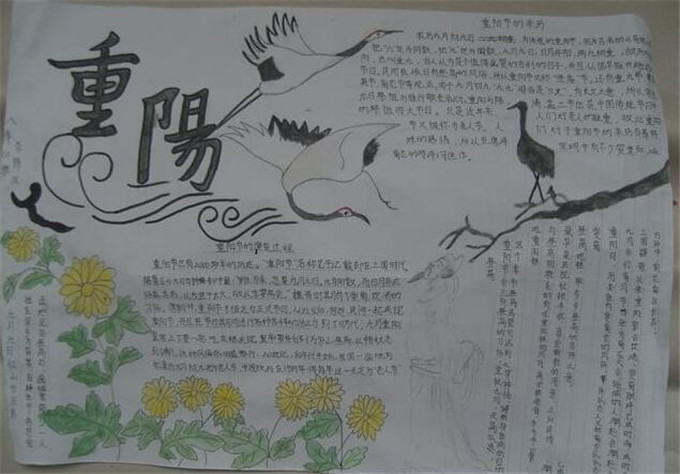 重陽節(jié)手抄報簡單好看，九九重陽節(jié)濃濃敬老情